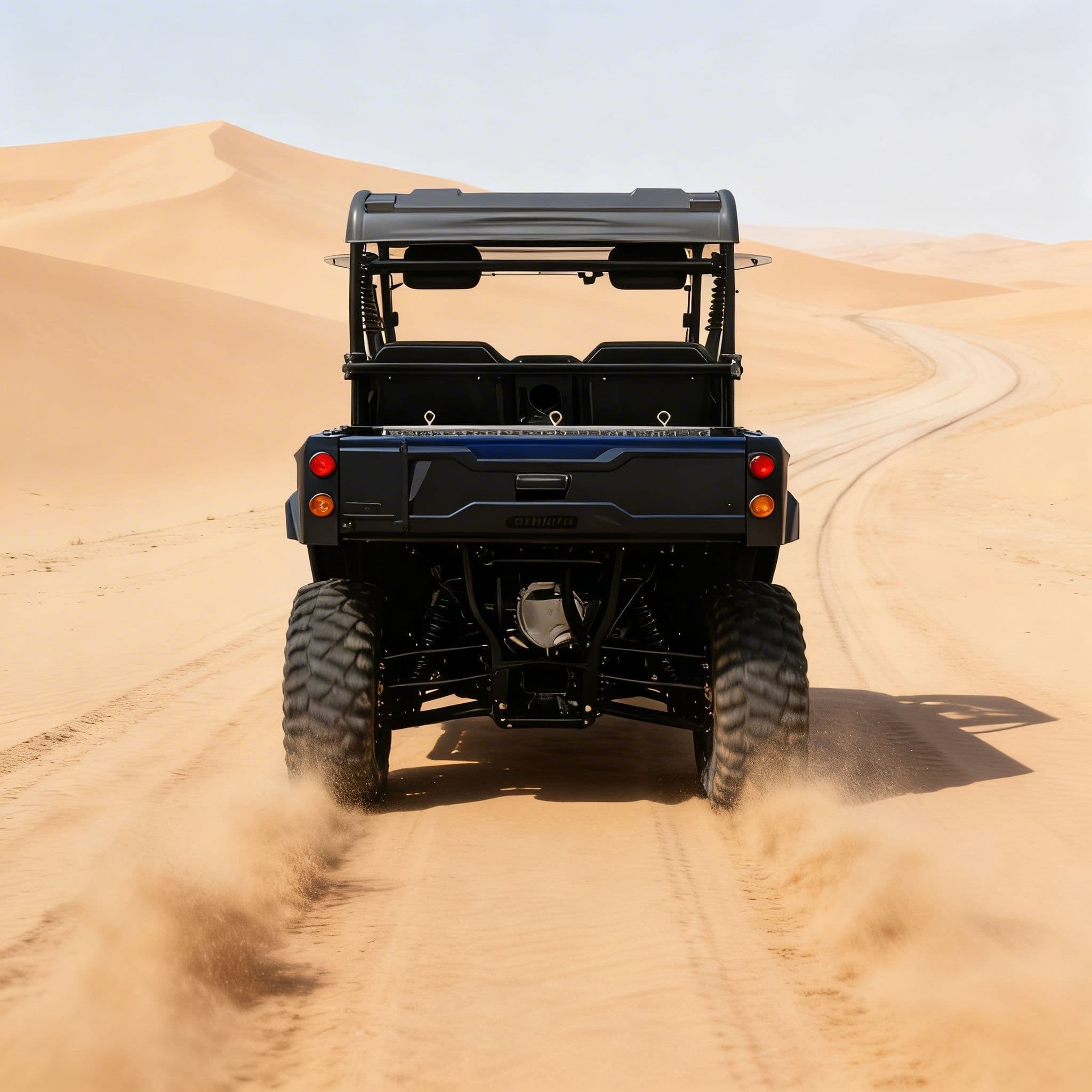 73.6V 150Ah 4WD كهربائي UTV PKE بدون مفتاح 1000 كجم