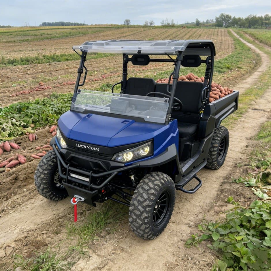 73.6V 4WD UTV 10kw محرك تيار متردد EPS توجيه بطارية 150ah