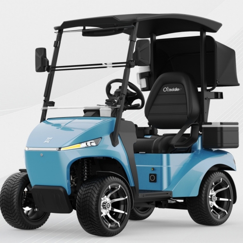 Electric Golf Cart
